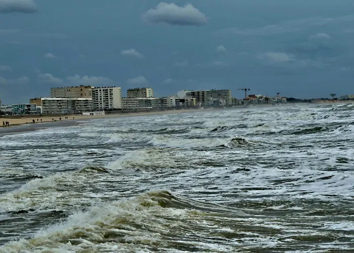 Studio Bords De Plage